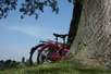 Biking in Italy