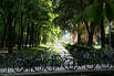 Bycycles