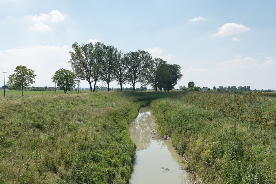 File:Collettore di Rigosa Nuova - Fontanelle, Roccabianca, Parma, Italia - 11 Maggio 2025 02.jpg