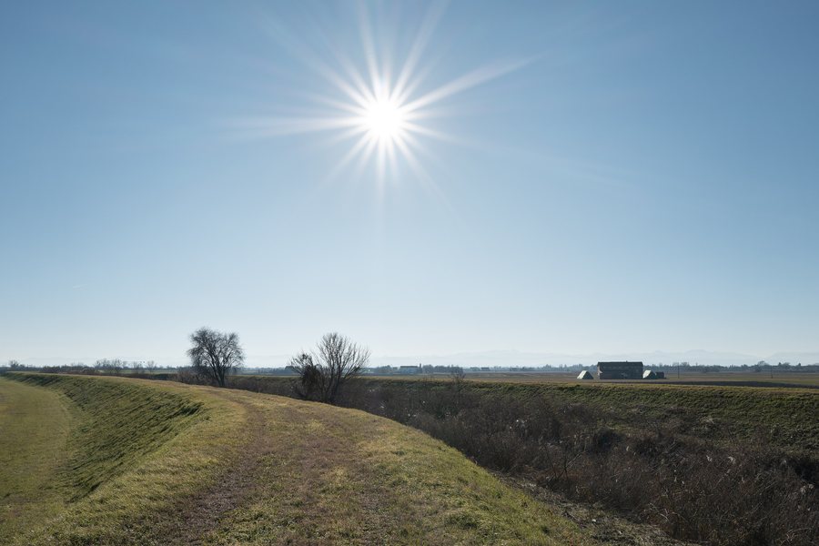 File:Argine del Canalazzo Tassone - Bagnolo in Piano, Reggio Emilia, Italia - 29 Dicembre 2024.jpg