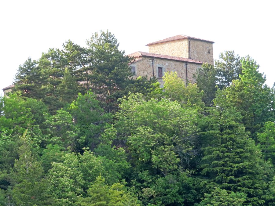 File:Castello (Ravarano, Calestano) - lato sud-est 1 2022-05-19.jpg