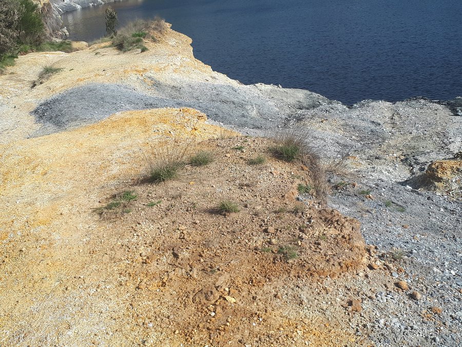 File:1-Area Naturale Solfatara, Pomezia, Roma.jpg