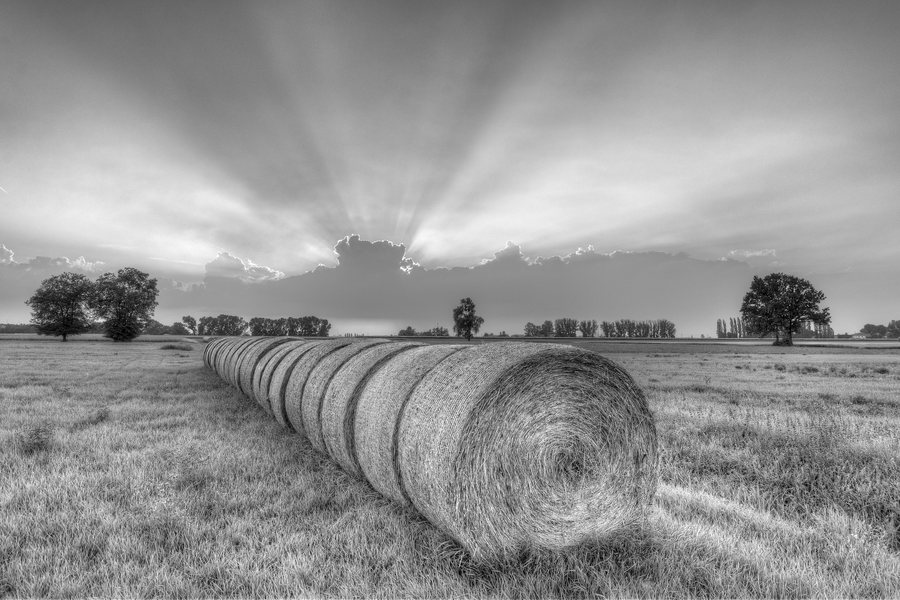 File:Round bales at Sunset - Rubiera, Reggio Emilia, Italy - May 29, 2015 03.jpg