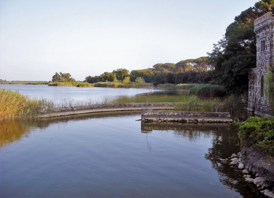 File:Lake Massaciuccoli and swamps at Torre del Lago Puccini, Tuscany, Italy.jpg