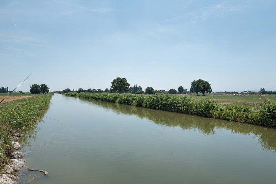 File:Canale Casalpò - Poviglio, Reggio Emilia, Italia - 7 Giugno 2026 02.jpg