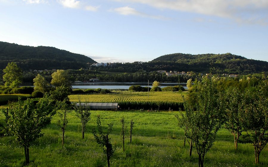 File:Revine, lago e campi di mais (6073482907).jpg