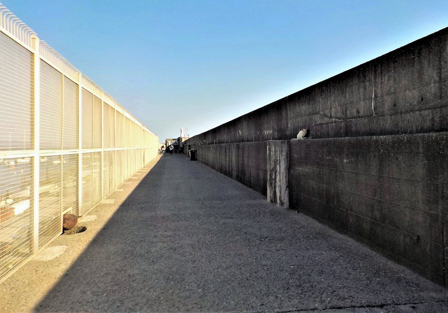 File:Sandro Pertini promenade in Marina di Carrara, Italy.jpg