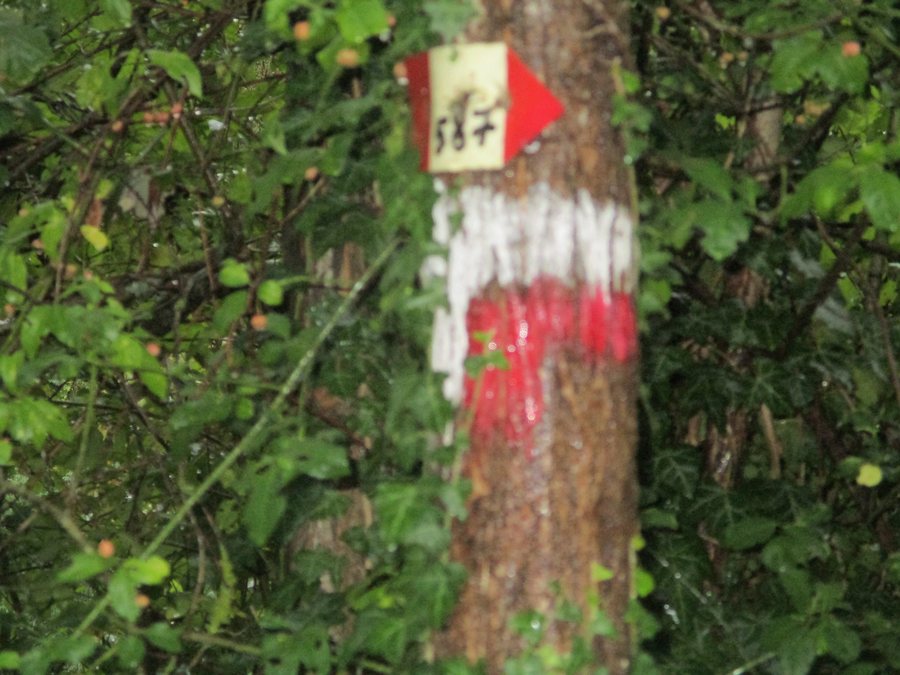 File:CAI 587 Lutirano Segnavia 2.jpg