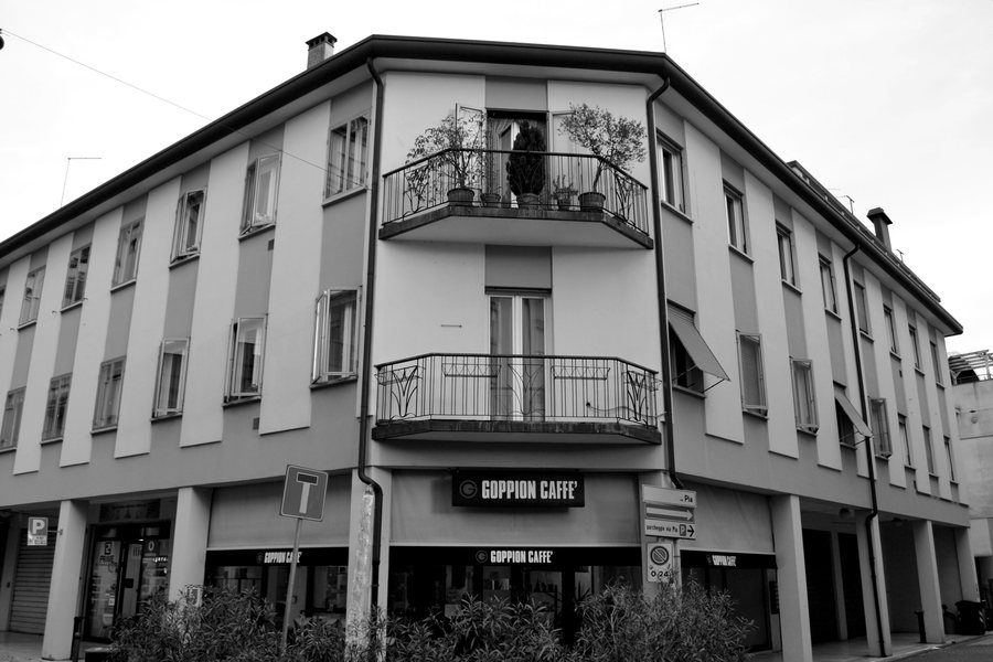 File:Mogliano Veneto, 10 aprile 2026 05 BN 04.jpg
