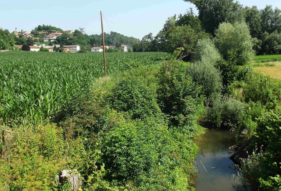 File:Cortandone e rio di monale.jpg