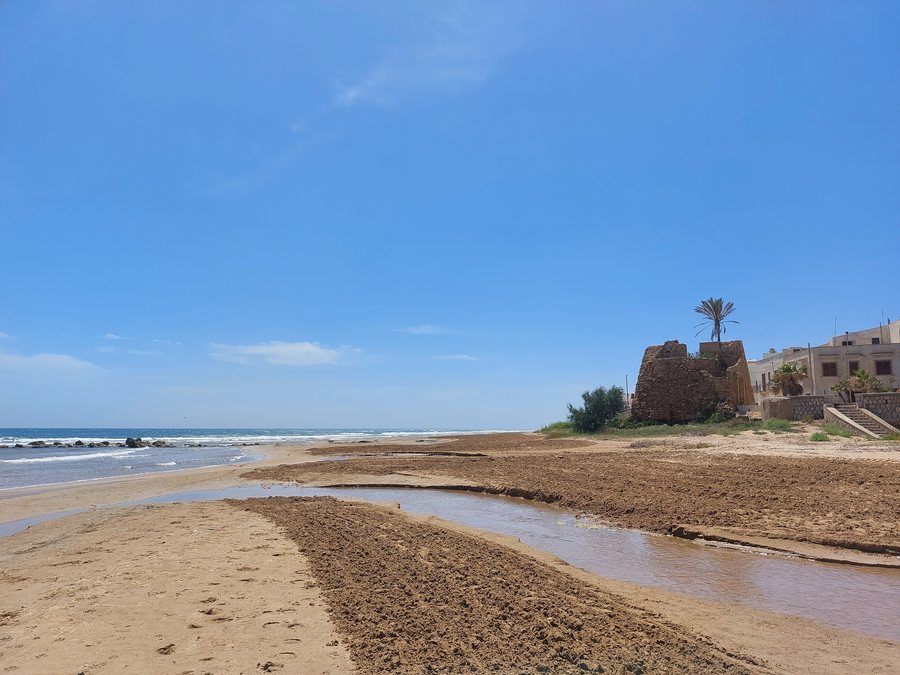 File:Tre Fontane (Campobello di Mazara) - Torre saracena (50309).jpg