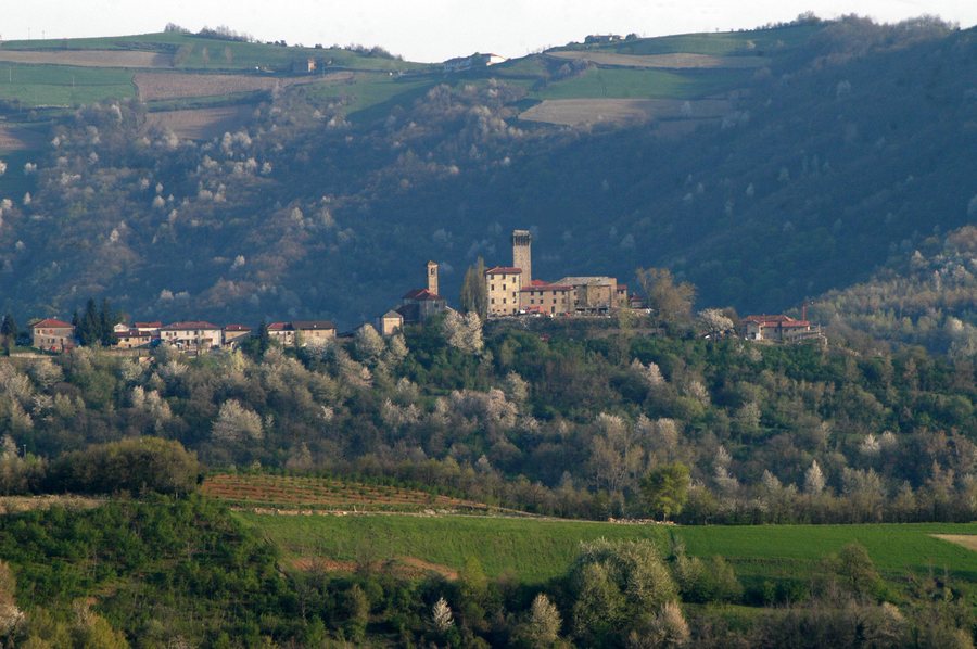 File:Olmo Gentile, Piemonte.jpg