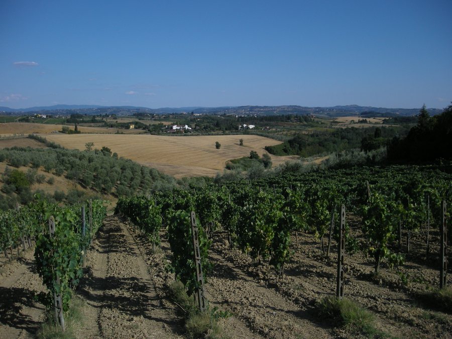 File:Malmantile-campagna01.jpg