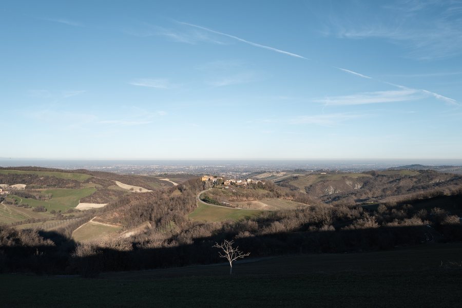 File:Lonely Tree - San Polo D'enza, Reggio Emilia, Italy - December 28, 2024.jpg