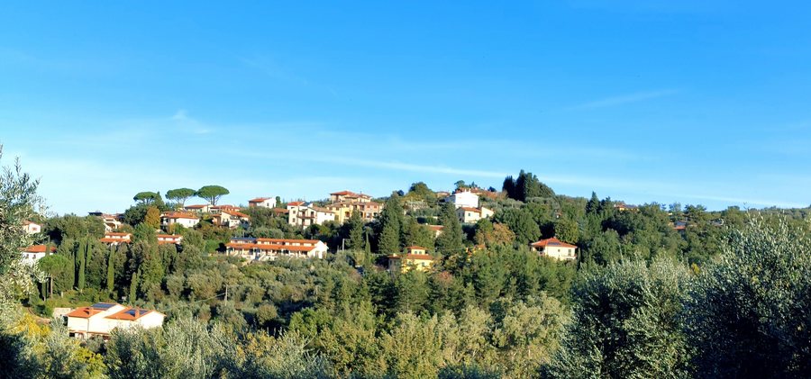 File:Poggio ai Giubbiani - Cancelli Reggello (Fi).jpg