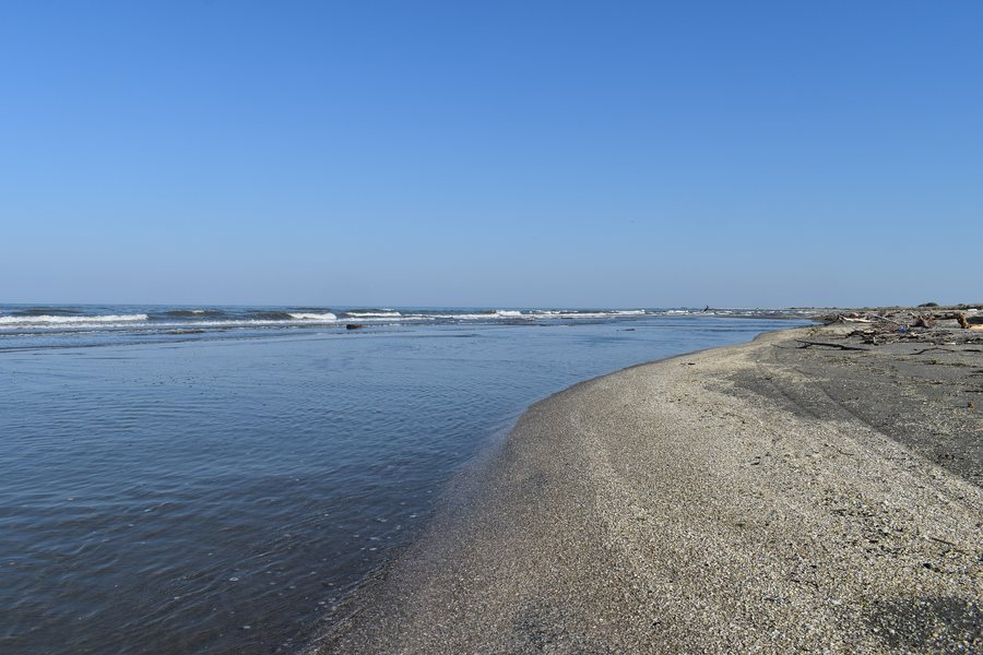 File:Boccasette - parco regionale veneto del Delta del Po 0.jpg