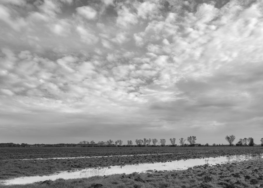 File:After the rain - Cadelbosco di Sopra, Reggio Emilia, Italy - October 20, 2024.jpg