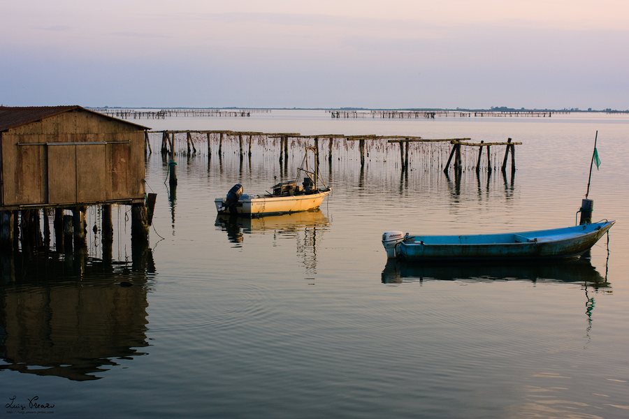 File:Delta del Po - Scardovari.jpg