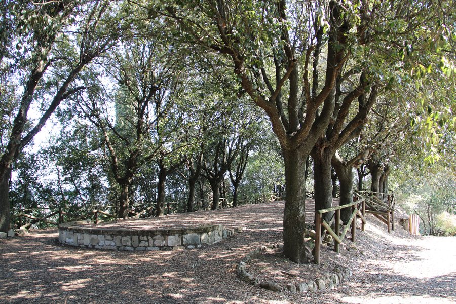 File:Montopoli in Val d'Arno, Poggio di Rocca 01.jpg
