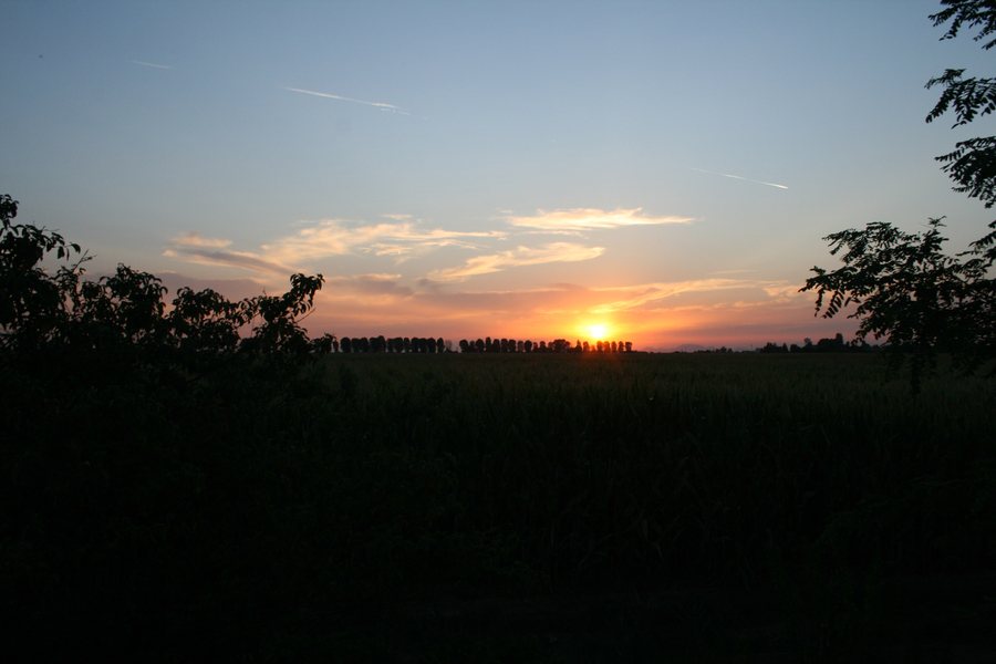 File:
