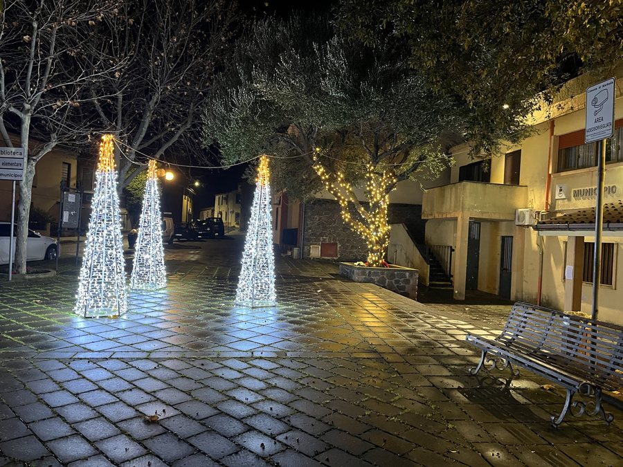 File:Alberi di Natale Narbolia.jpg