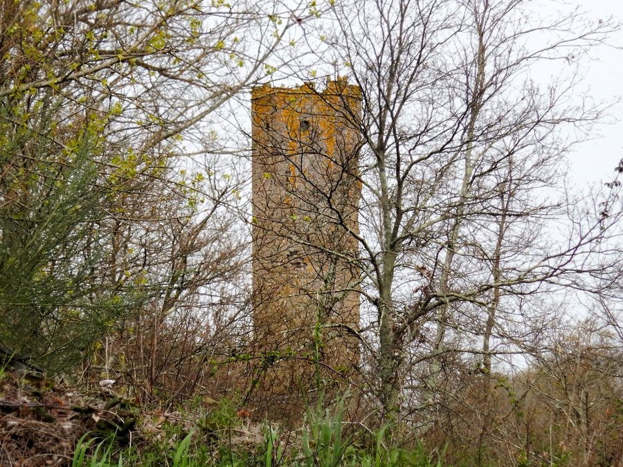 File:Soriano nel Cimino - Torre di Chia che appare dal bosco- 2024-09-04 20-55-17 001.JPG