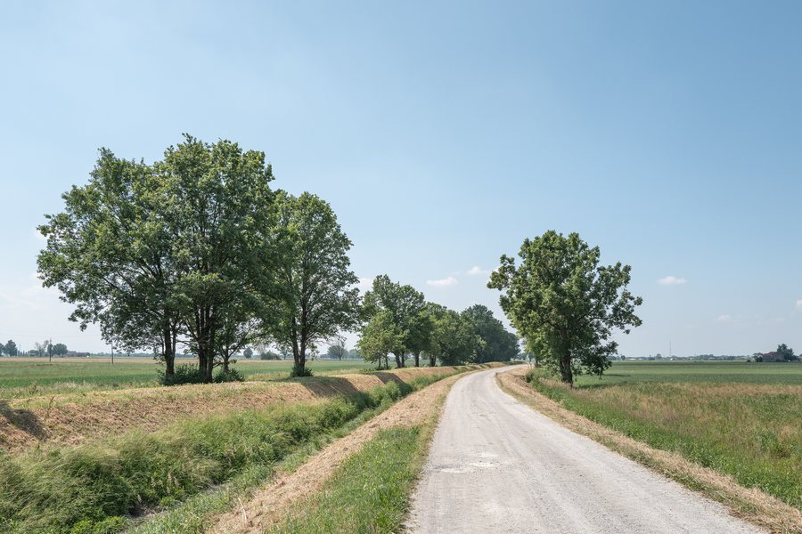 File:Strada Scortica Cavallo - Polesine Zibello, Parma, Italia - 11 Maggio 2025.jpg
