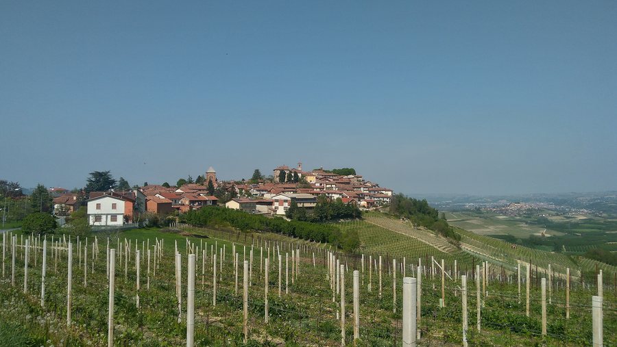 File:Verduno.jpg