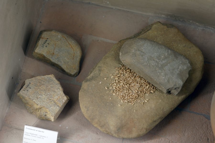 File:Frammenti di macine, età del bronzo, da Stabbia, Cerreto Guidi. Museo di Fucecchio -FG.jpg
