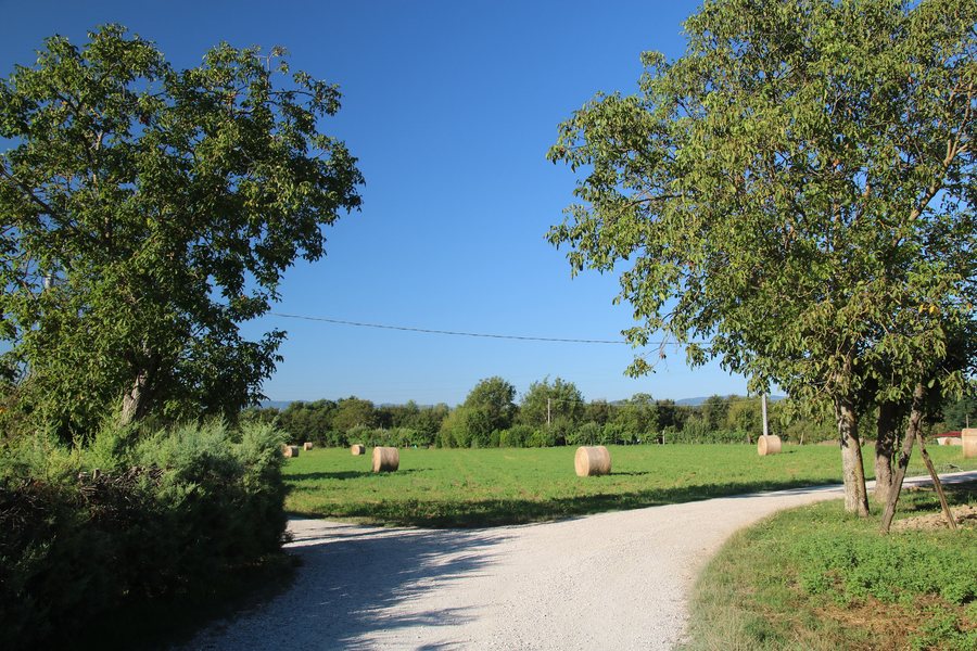 File:Via di Francesco (percorso del nord), Sensepolcro, da Sansepolcro a Gricignano 01.jpg