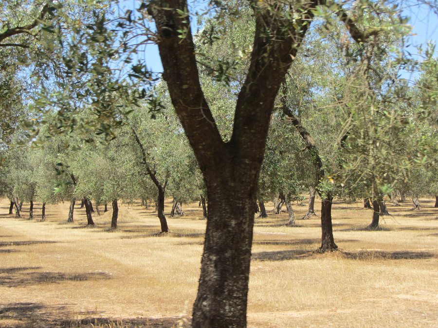 File: