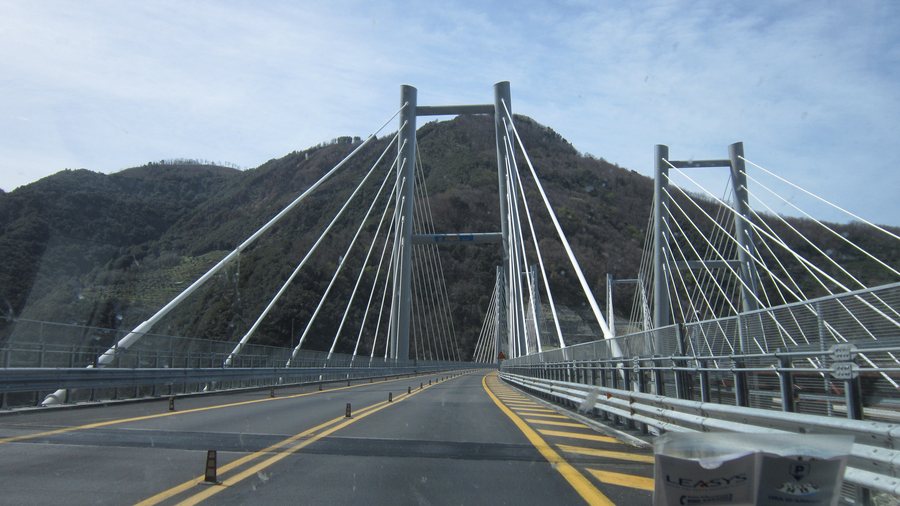 File:A3 Viadotto Favazzina - panoramio.jpg