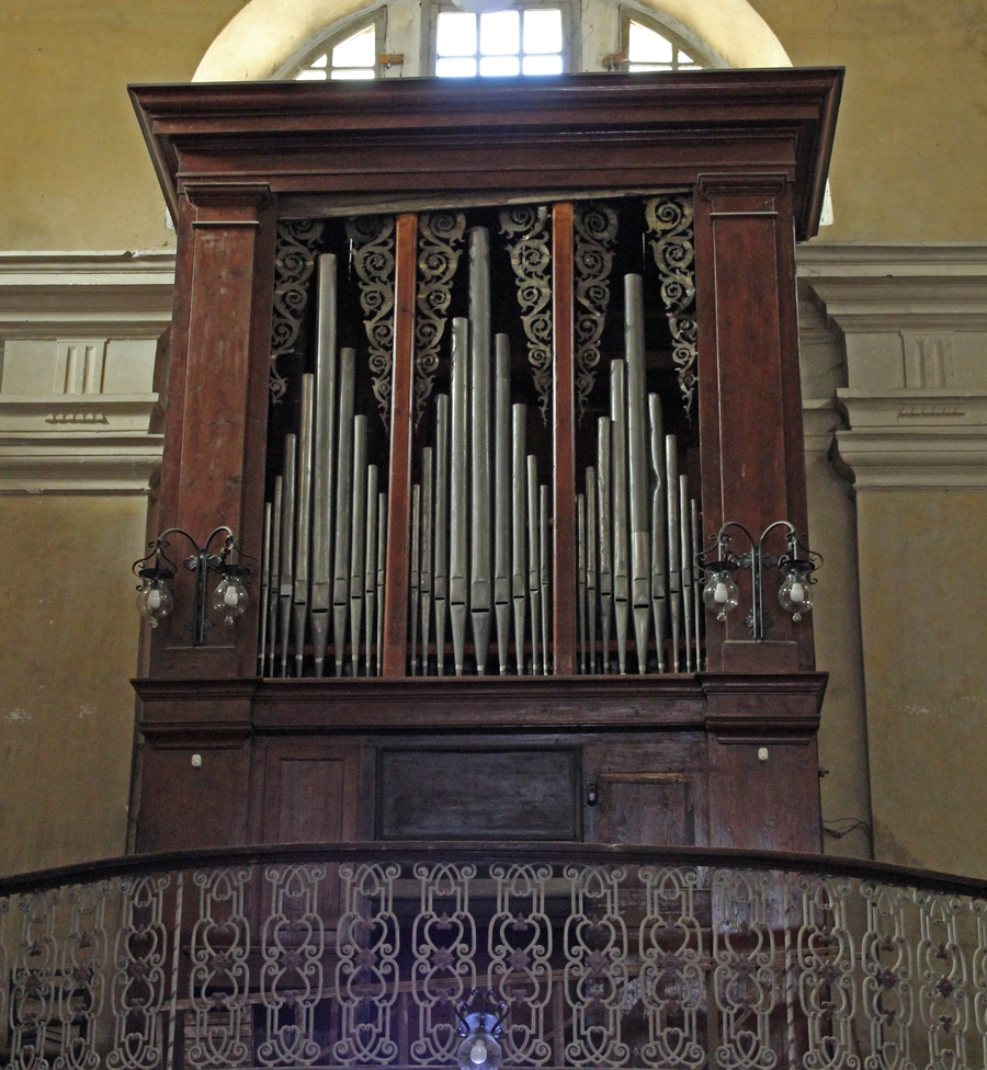 File:Organo Giucano.png