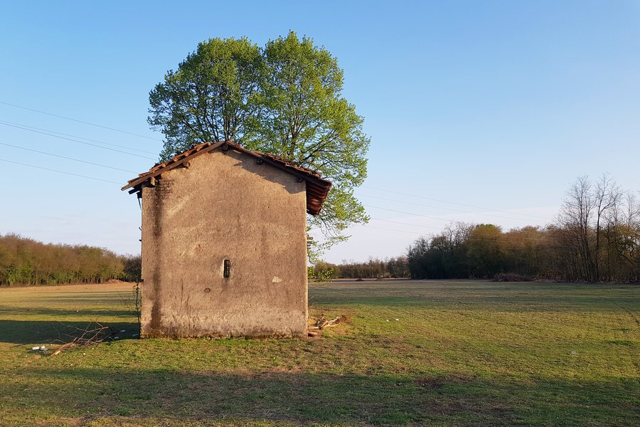 File:Barn and tree in Parco Alto Milanese - Legnano (MI), Lombardy, Italy - 2021-04-03.jpg