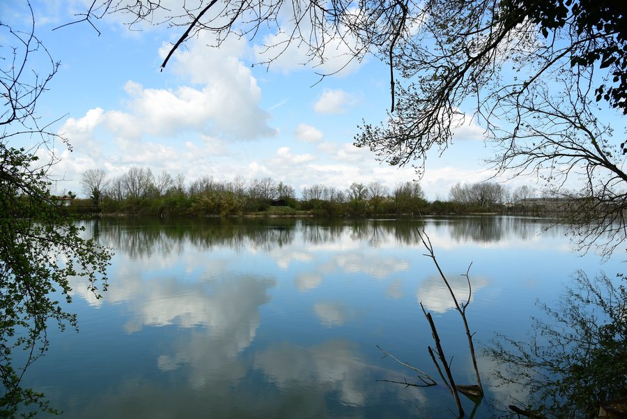 File:Allo specchio - riserva speciale di Alfonsine.jpg