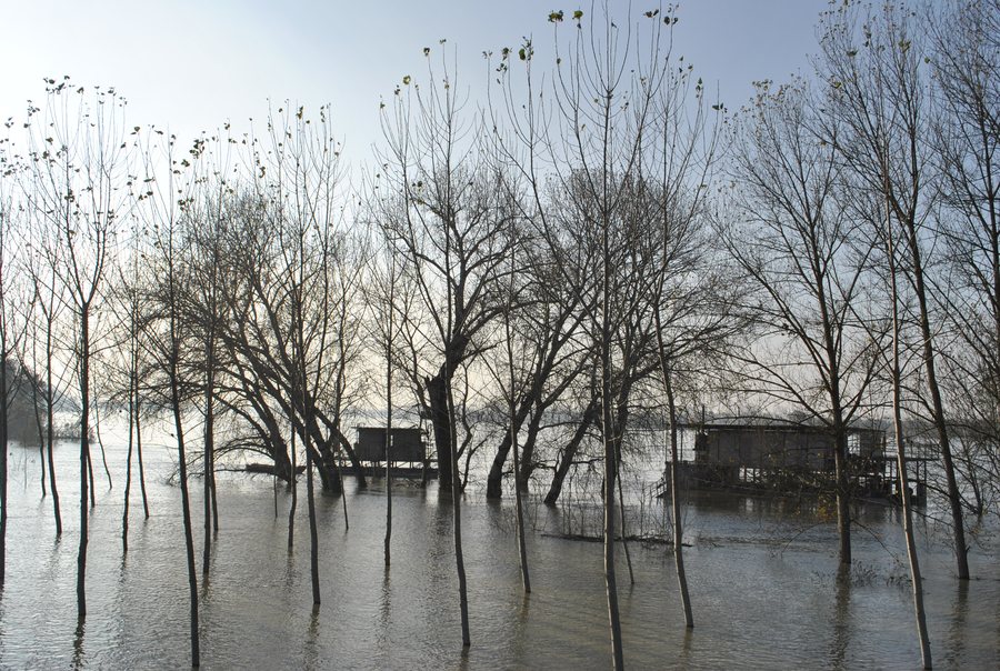 File:Po river Francolino Ferrara.JPG