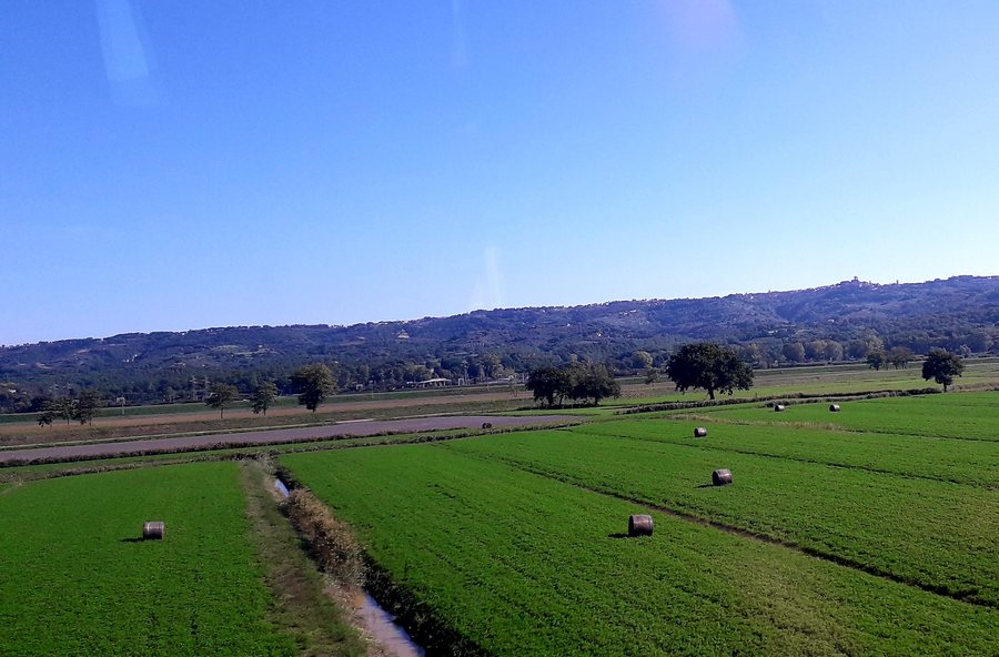 File:Ponticelli.jpg