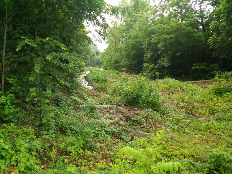 File:Rio Vallarsa Laives - Brantenbach Leifers 1.jpg