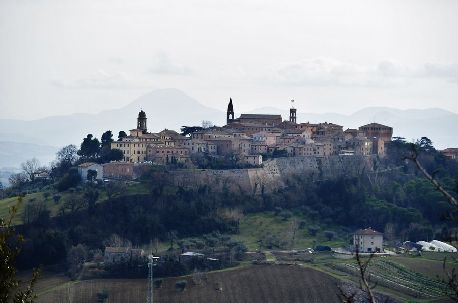 File:Mondavio - Comune di Mondavio - 2024-09-04 17-17-20 001.JPG