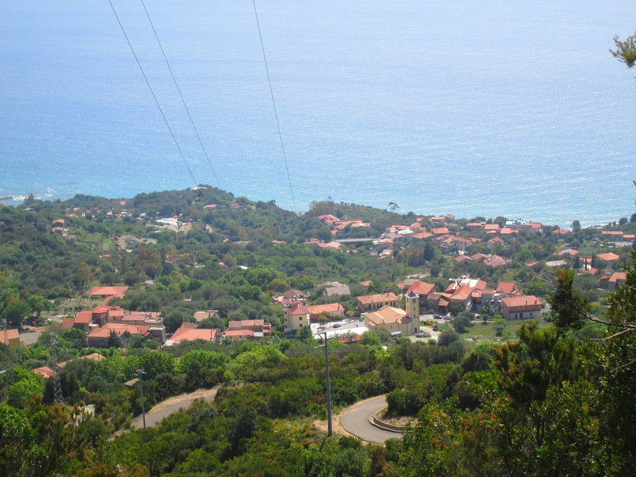 File:Caprioli di Pisciotta.jpg