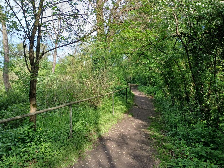 File:Montanaso Lombardo (LO) - percorso I Boschi del Belgiardino.jpg