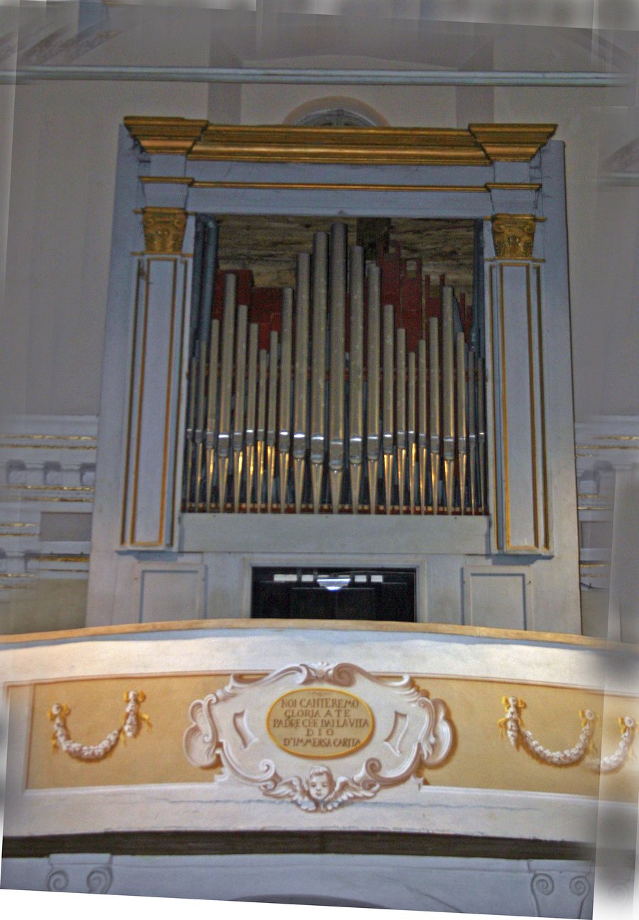 File:Organo Tendola.jpg
