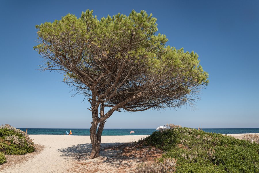 File:Li Cucutti Beach - Budoni, Sassri, Italy - August 8, 2020.jpg