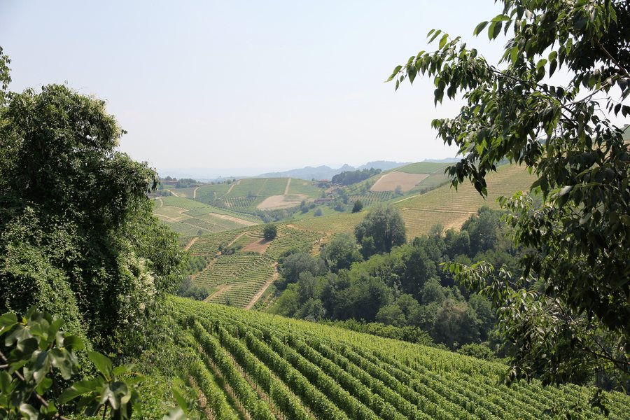 File:Cisterna d'Asti (01).jpg