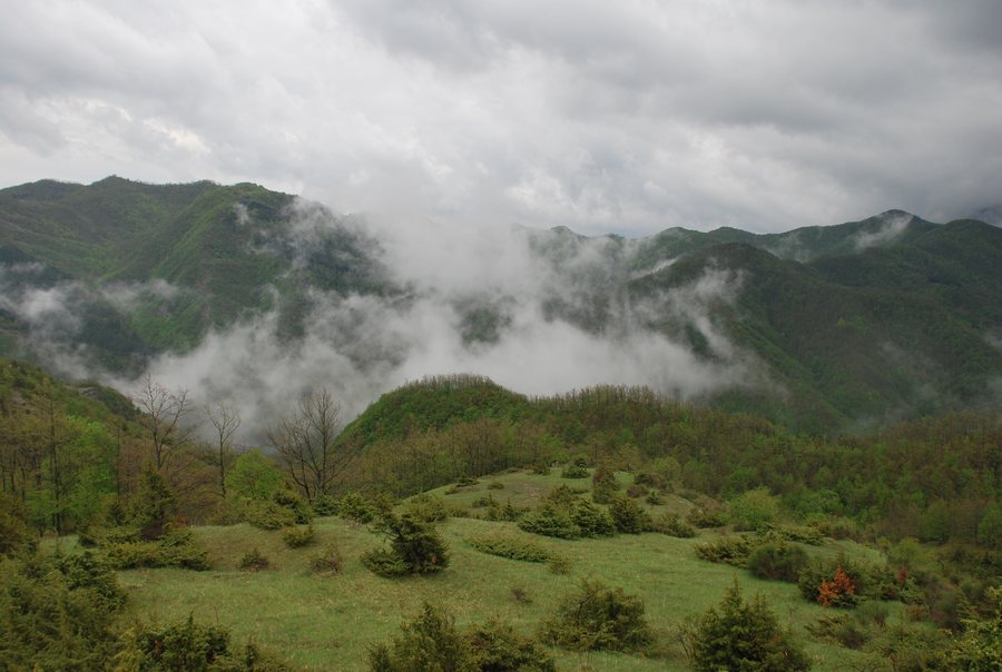 File:Campigna -Santa Sofia (FC) 1 Maggio 2012 - panoramio.jpg