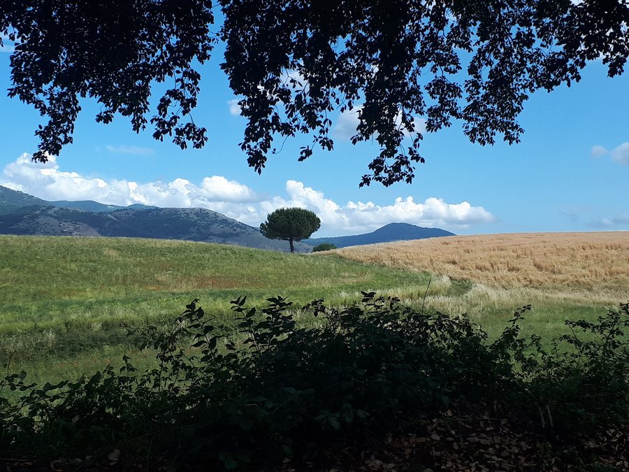 File:Lago di Giulianello, Artena, Lazio, Italia D.jpg