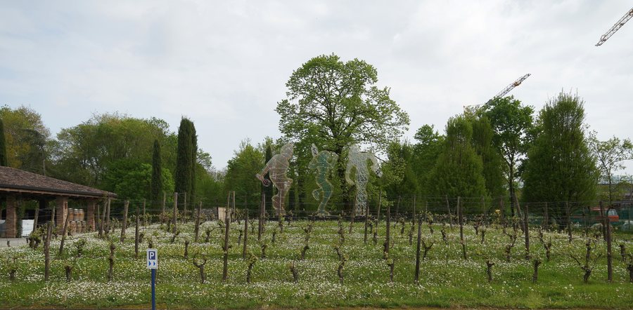 File:Grappa Distillery 