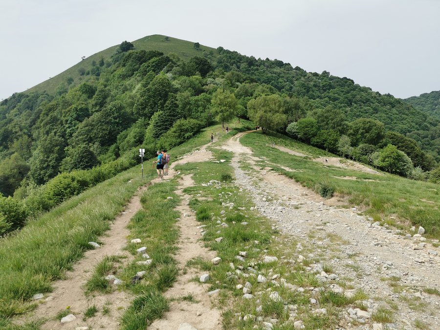 File:Vista sulla Bocchetta di Caglio, in direzione SW.jpg