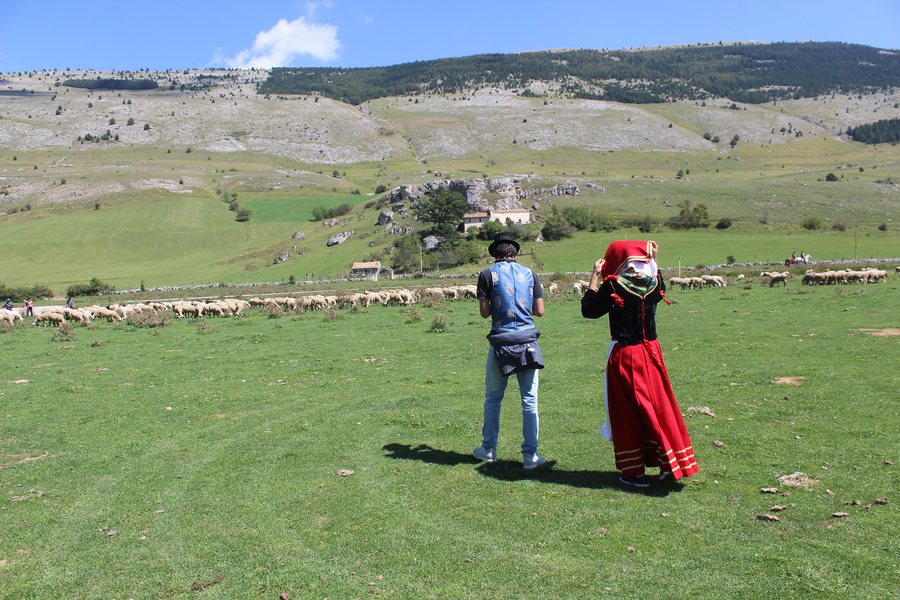 File:La gregge Pescocostanzo.jpg