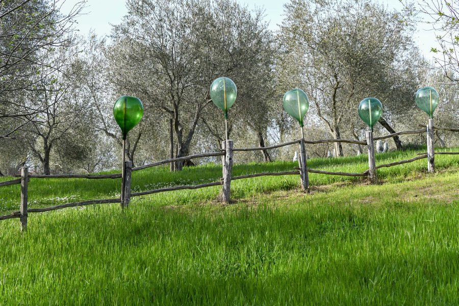 File:Giardino Spoerri Seggiano Pasquetta 2018 Impressions with Glass BHO 118-LR.jpg